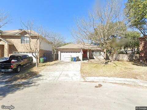 Possum, SAN ANTONIO, TX 78232
