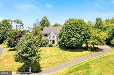 Natalie, COOPERSBURG, PA 18036