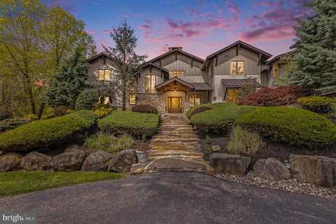 Lewis, AMBLER, PA 19002