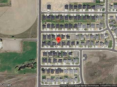 Hawk, MOSES LAKE, WA 98837