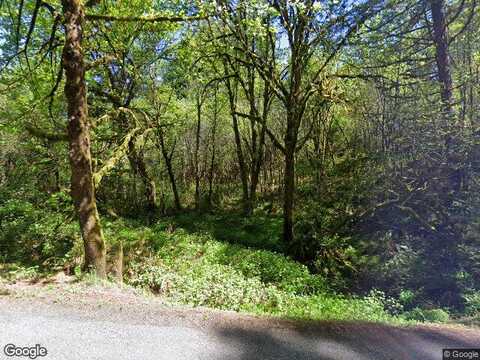 339Th, LA CENTER, WA 98629