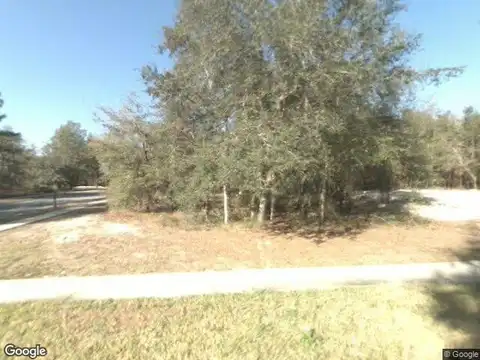 Blue Heron, FANNING SPRINGS, FL 32693