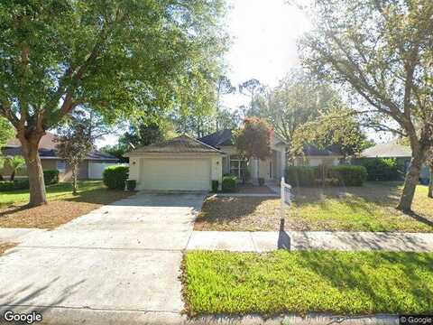 Chrysanthemum, ORMOND BEACH, FL 32174