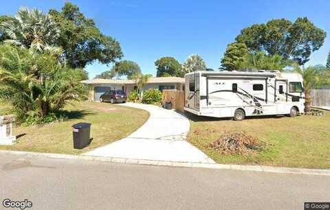 Gerbera, SEMINOLE, FL 33777
