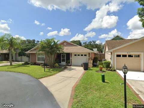 Franklin, PALM HARBOR, FL 34683