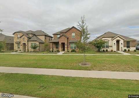 Dandelion, AUBREY, TX 76227