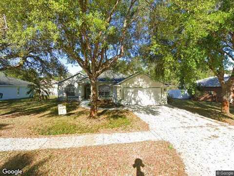 Caladium, ORMOND BEACH, FL 32174