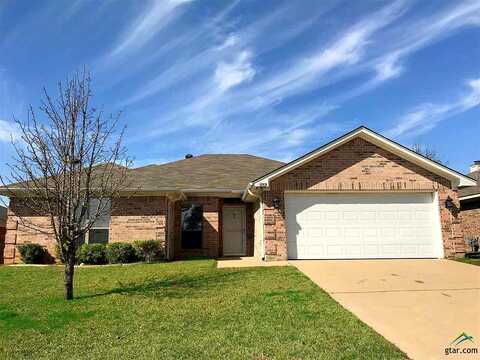 Palo Pinto, TYLER, TX 75707