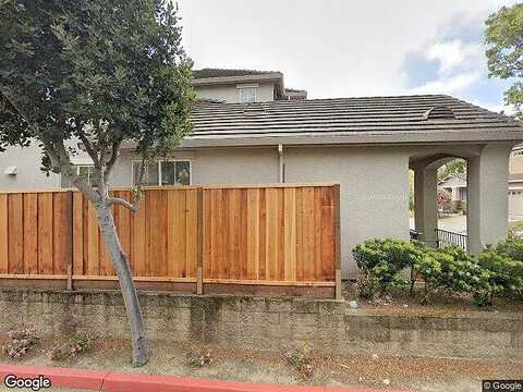 Dutch Elm, HERCULES, CA 94547