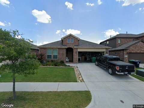 Chicory, DENTON, TX 76210