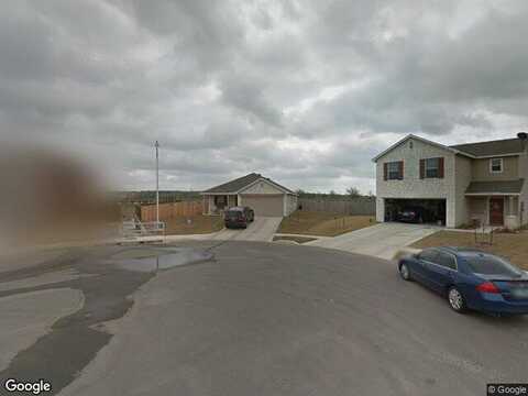 Painted, SCHERTZ, TX 78154