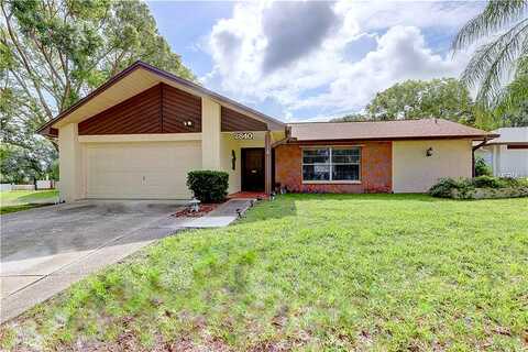 Thistle, PALM HARBOR, FL 34684