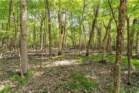 Stony Point, BATTLE LAKE, MN 56515