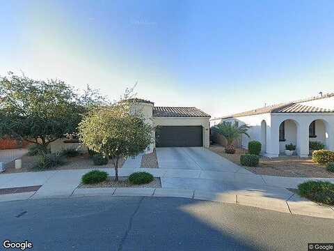 Desert Spoon, QUEEN CREEK, AZ 85142