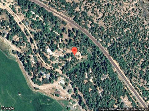 Pine Oak, QUINCY, CA 95971