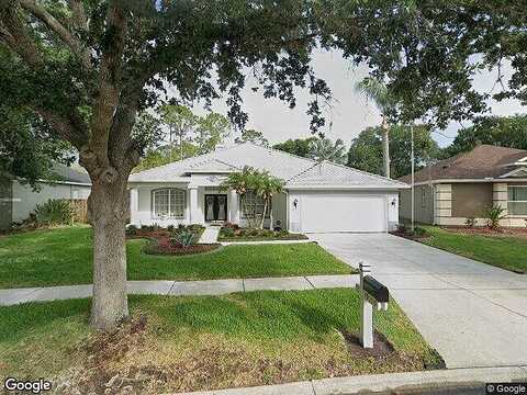 Cherry Rose, LUTZ, FL 33558