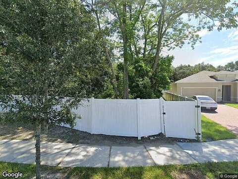 Summer Rose, MOUNT DORA, FL 32757