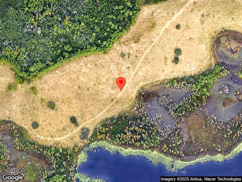 Saw Palmetto, CLERMONT, FL 34714