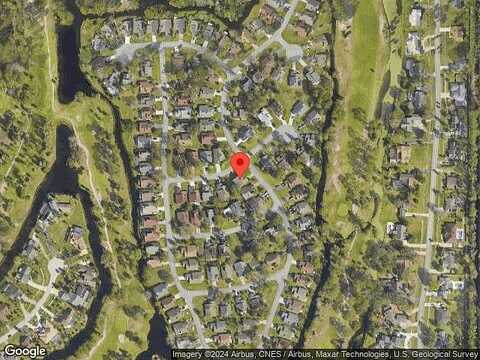 Gull, DAYTONA BEACH, FL 32119