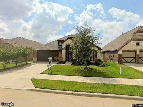 Yellowthroat, LITTLE ELM, TX 75068