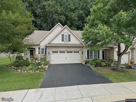 Red Maple, DOWNINGTOWN, PA 19335