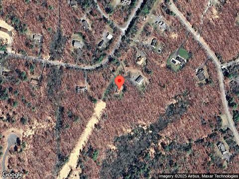 Hobblebush, MILFORD, PA 18337