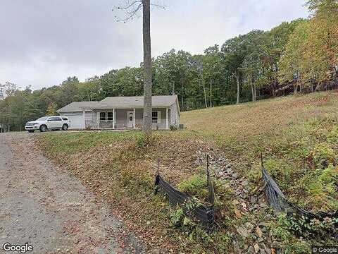 Rhododendron, FANCY GAP, VA 24328