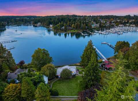 Rose, BAINBRIDGE ISLAND, WA 98110
