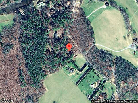 Dogwood, BLUE RIDGE, GA 30513
