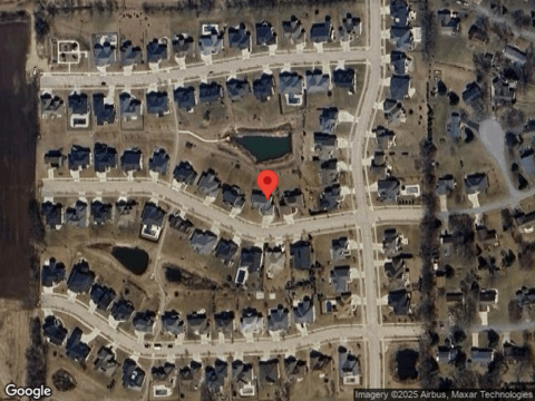 Mourning Dove, COTTAGE GROVE, WI 53527