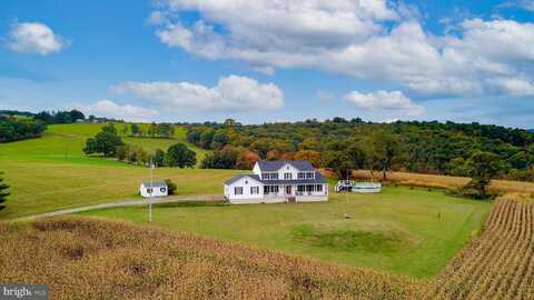 Sassafras, PALMERTON, PA 18071