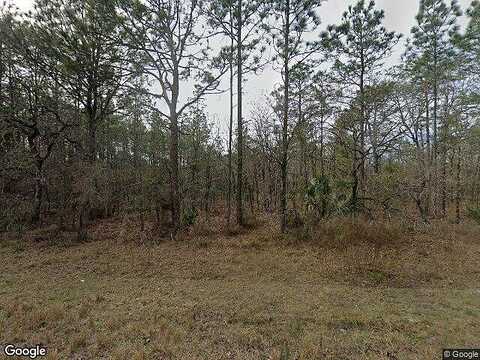 Malden, WEEKI WACHEE, FL 34614