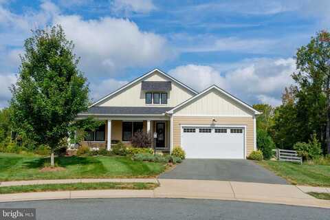 Crepe Myrtle, ZION CROSSROADS, VA 22942