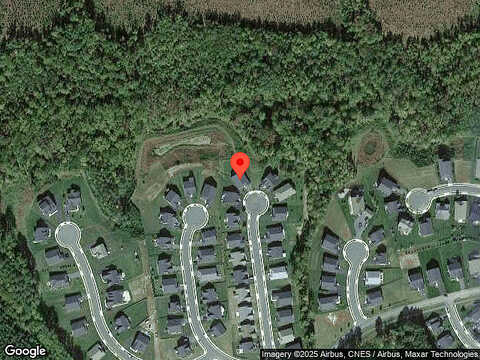 Crepe Myrtle, ZION CROSSROADS, VA 22942