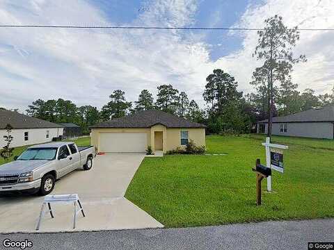 Murre, WEEKI WACHEE, FL 34614