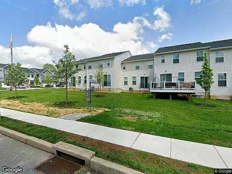 Dogwood, KING OF PRUSSIA, PA 19406