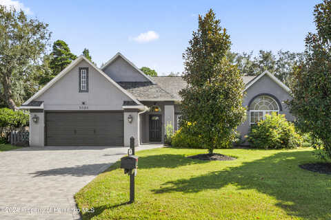 Panther, SPRING HILL, FL 34607