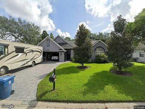 Panther, SPRING HILL, FL 34607
