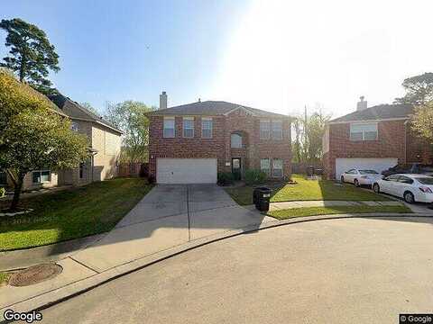 Platinum Springs, TOMBALL, TX 77375