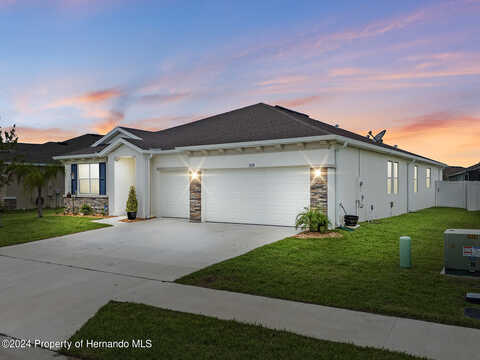 Autumn Amber, SPRING HILL, FL 34609