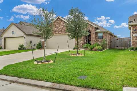 Falling Daylight, HOCKLEY, TX 77447