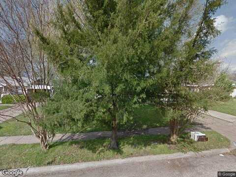 Caladium, MESQUITE, TX 75149