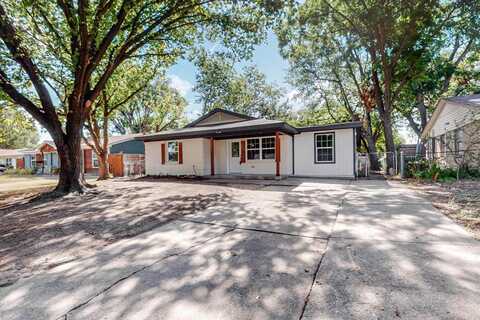 Caladium, MESQUITE, TX 75149
