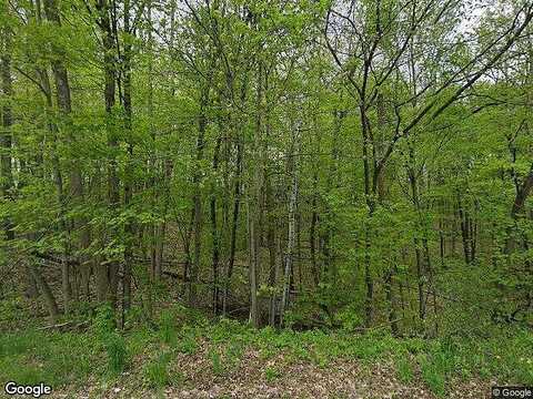 Maple Tree, KEWASKUM, WI 53040