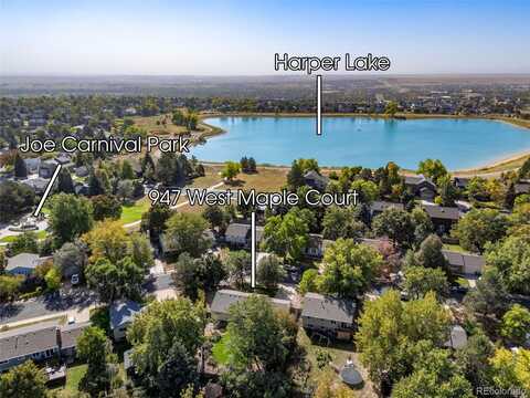 Maple, LOUISVILLE, CO 80027