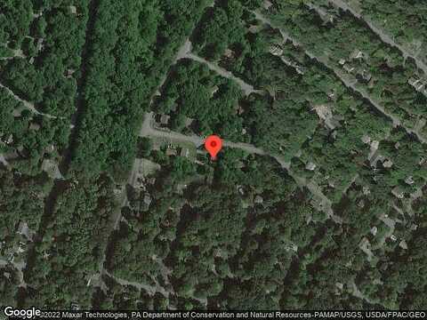 Red Squirrel, TOBYHANNA, PA 18466