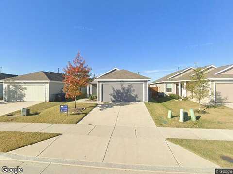 Ruellia, MCKINNEY, TX 75071