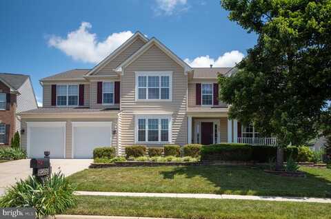 Yellow Birch, FREDERICKSBURG, VA 22407
