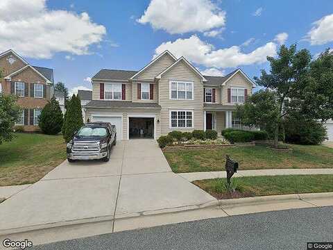Yellow Birch, FREDERICKSBURG, VA 22407