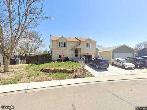 Tulip, LONGMONT, CO 80501